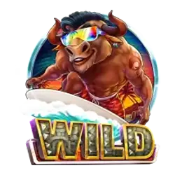 Symbol Wild