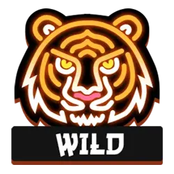 Symbol Wild