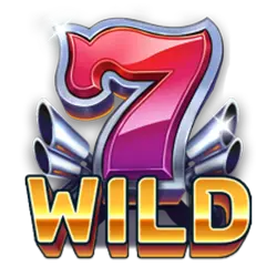 Symbol Wild