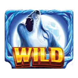 Symbol Wild