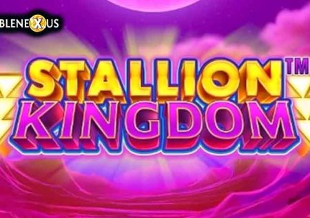 Stallion Kingdom