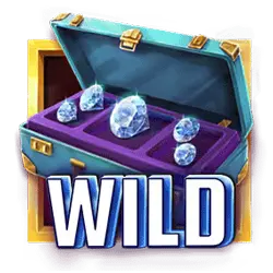 Symbol Wild