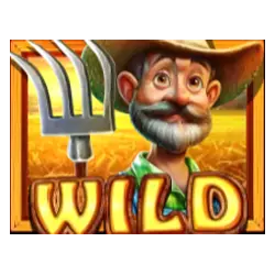 Symbol Wild