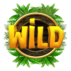 Wild Symbol