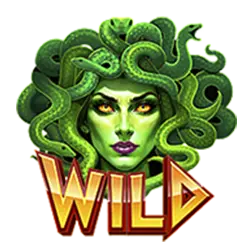 Wild Symbol