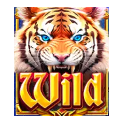 Wild Symbol