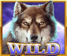 Wild Symbol