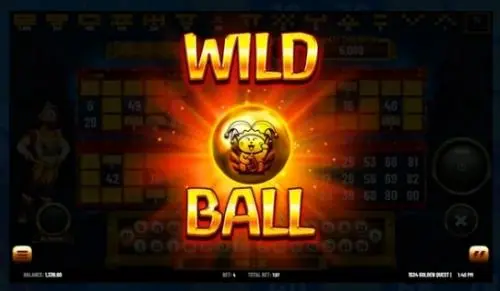Wild Ball