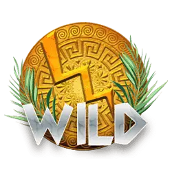Symbol Wild