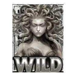 symbol stone wild