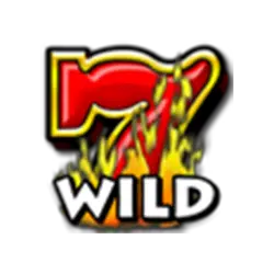 Symbol Wild