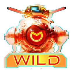 Symbol Wild
