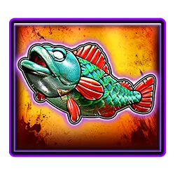 Fish XL