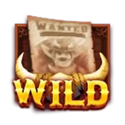 Symbol Wild