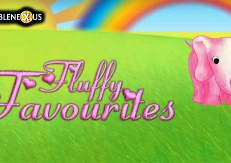 Fluffy Favourites