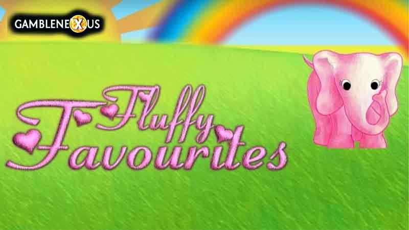 Fluffy Favourites