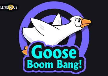 Goose Boom Bang!