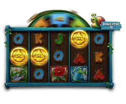 Bonus Spins
