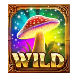 Wild Symbols