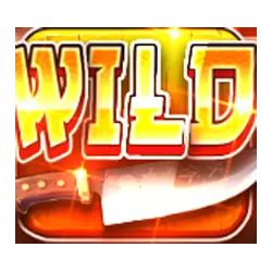 Symbol Wild
