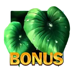 Symbol Bonus