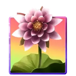 Symbol Scatter