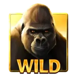 Symbol Wild