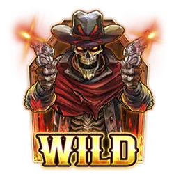 Symbol Wild