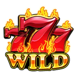 Symbol 777 Wild