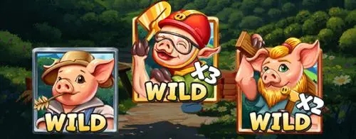 Wild Piggy Symbols