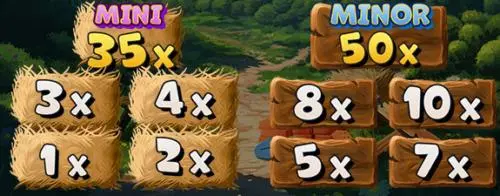 Cash Prizes