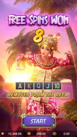 Free Spins Feature