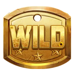 symbol wild