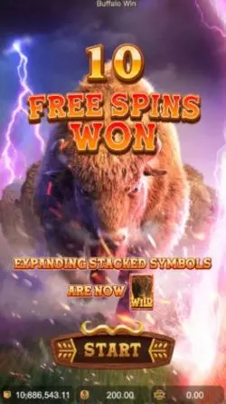 Free Spins Feature