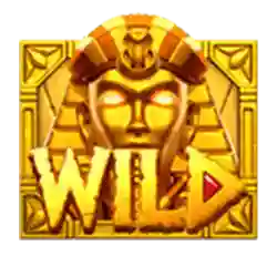 Wild