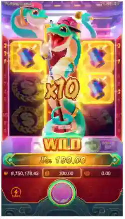 Fortune Snake