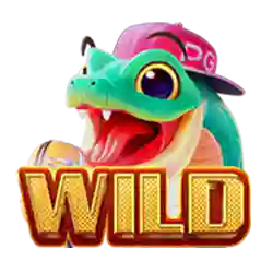 Wild Symbol
