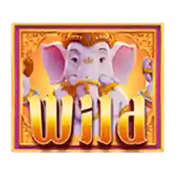 Wild Symbol