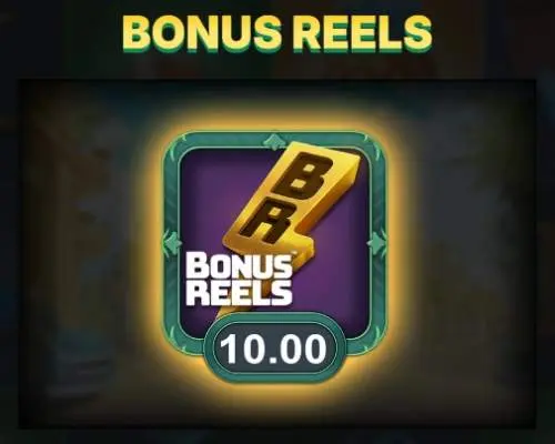 Bonus Reels