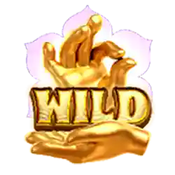 Wild Symbol
