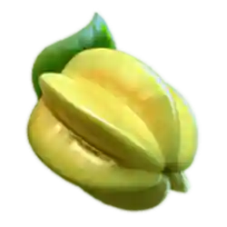 Symbol 05 Jungle Delight