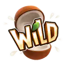 Wild Symbol