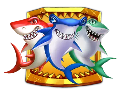 frame for shark
