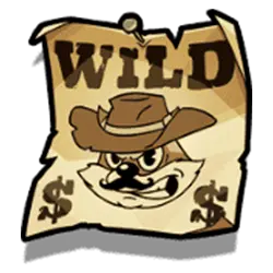 symbol wild