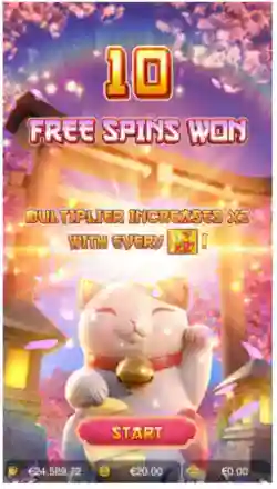 Free Spins Feature