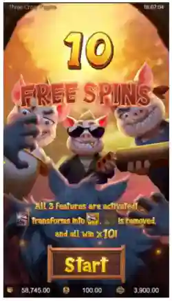 Free Spins