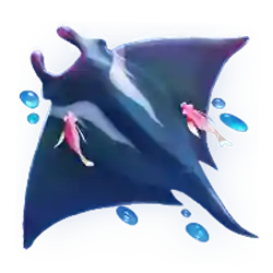 Symbol 05 Mermaid Riches