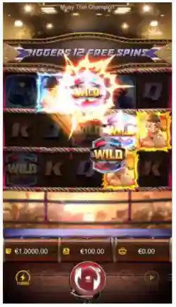Fighter Feature