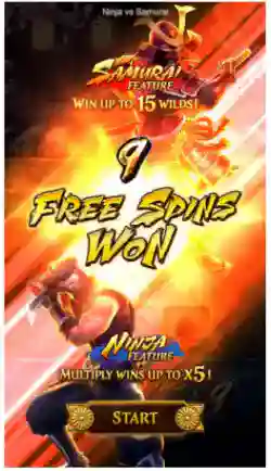 Free Spins