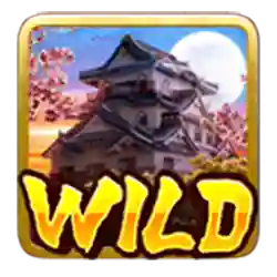 Wild Symbol